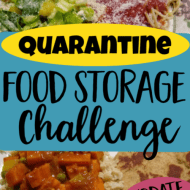 Quarantine Food Storage Challenge- Update 5