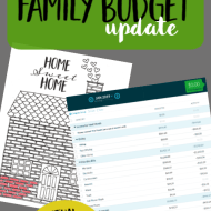 Real Family Budget Update– January 2019