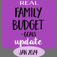 January 2024 Family Budget Update