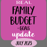 Family Budget Update- July 2023