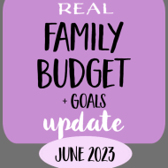 Family Budget Update- June 2023