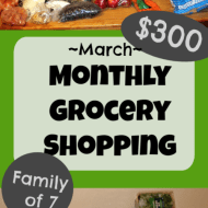 $300 Monthly Grocery Shopping After a No-Spend Month– March 2019