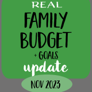 Money talk without the taboo. Here’s our family’s real budget from last month.