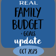 Want to see everything our family spent and earned last month? Here are all the details.