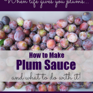 How to Make Plum Sauce and What to Do with it