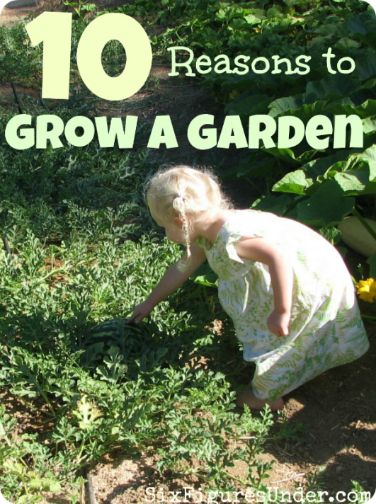 Growing a garden might sound like a lot of work (and it is), but there are lots of great reasons to grow a garden (or at least grow something)! Here are ten reasons to get planting!