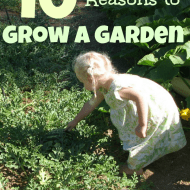 10 Great Reasons To Grow a Garden (or at least grow something!)