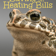 Our Strategy for Saving on Heating Bills