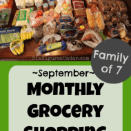 Monthly Grocery Shopping– September 2019